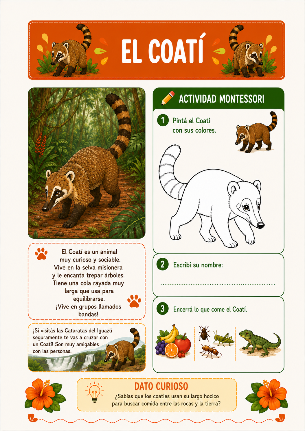 COMBO MISIONES 8-9 

Aprender las primeras habilidades
y descubrir Argentina jugando.
Más de 100 actividades educativas + juego didáctico Memotes + diploma de finalización, todo en formato PDF imprimible para utilizar las veces que quieras.